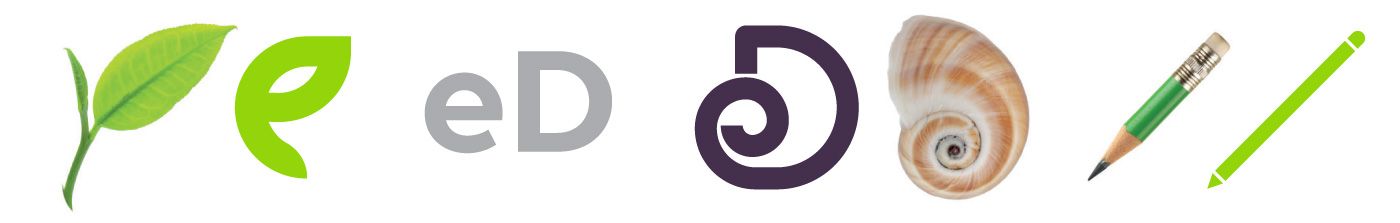 Branding for Observatorio ecoED — image 4
