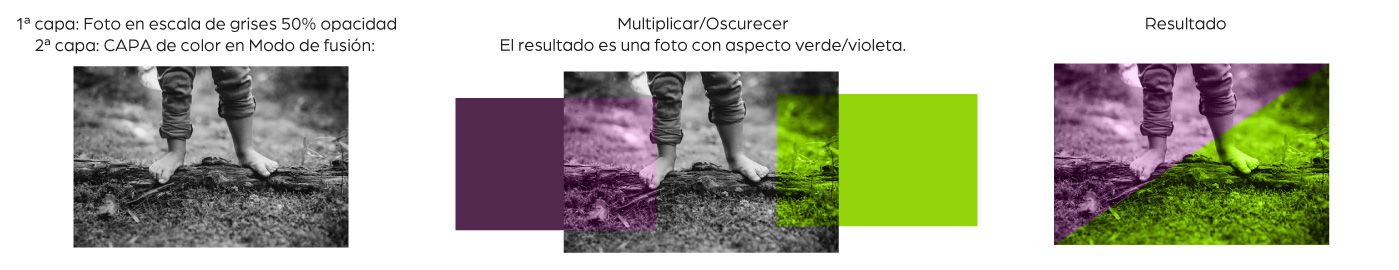 Branding for Observatorio ecoED — image 8